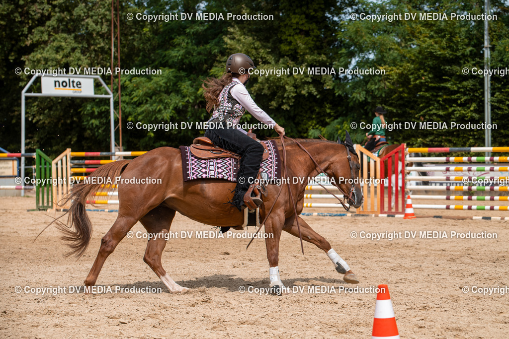 EWP_6071 | dv-media-shop - Realisiert mit Pictrs.com