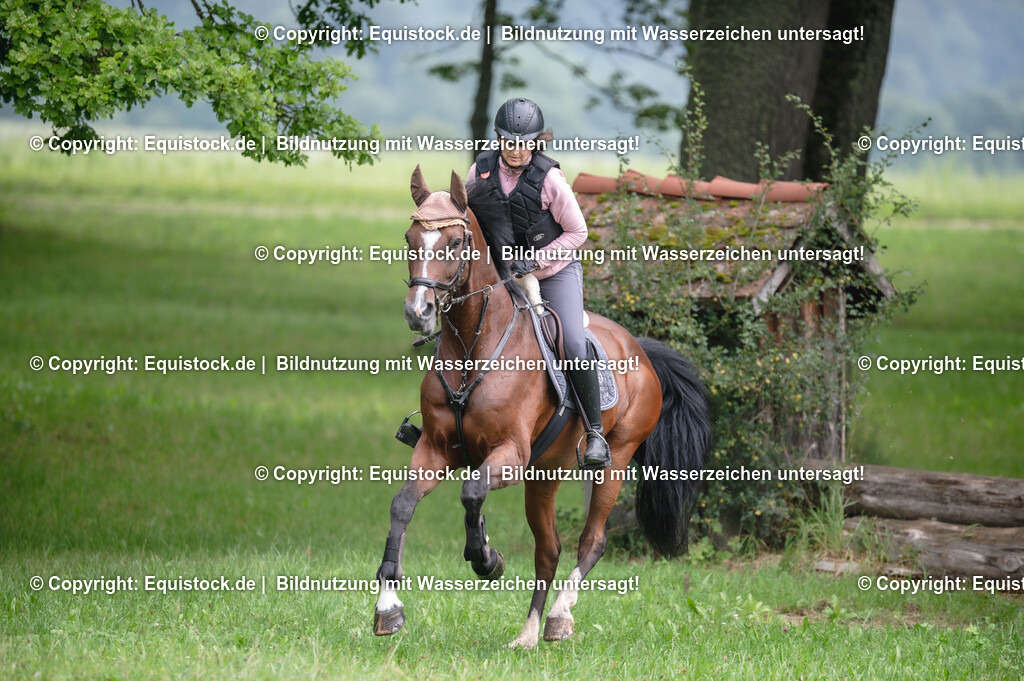 20250726_Vielseitigkeitslehrgang-Marbach_0181 | Foto: Thomas Hartig
