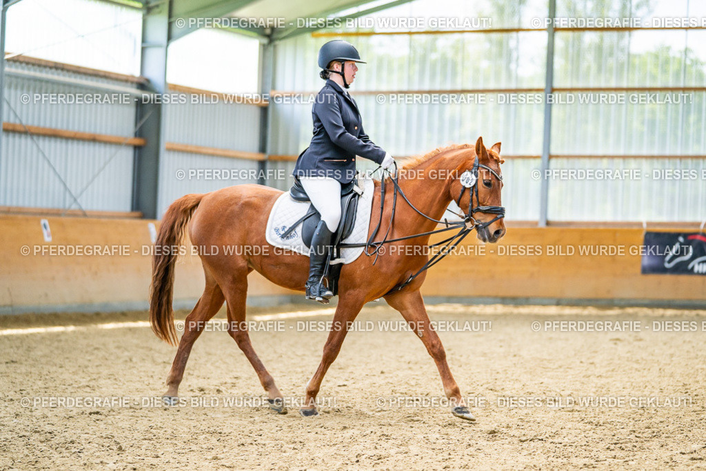 DSC04963 | Pferdegrafie