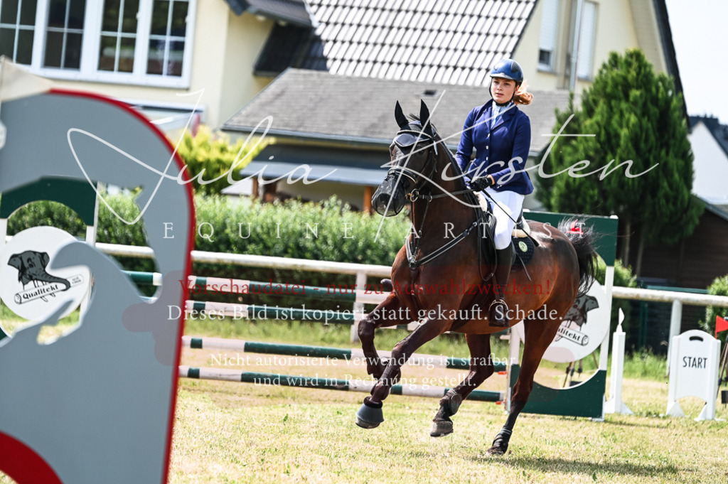 DSC_9206 | Pferde- und Turnierfotografie in Westsachsen. Pferdeportraits, Auftragszeichnungen und intuitive Kunst.