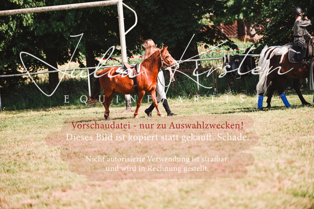 DSC_7330 | Pferde- und Turnierfotografie in Westsachsen. Pferdeportraits, Auftragszeichnungen und intuitive Kunst.