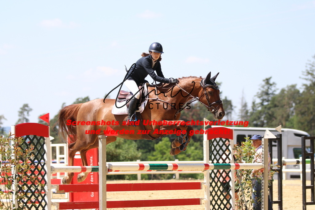 IMG_2560 | lmwpictures - Realisiert mit Pictrs.com