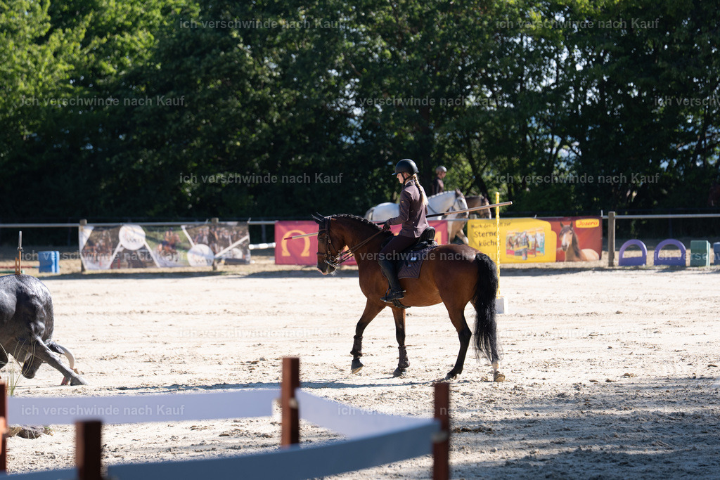 WL_SP_105_SinaFilmArt_IN05766 | working equitationturnier fotograf videograf stoibphotography marixx film working equitation deutschland reitsport turnierfotografie eventfotografie equestrian events