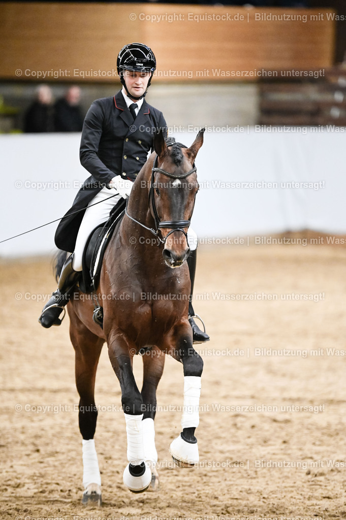 20260307_Hengstvorstellung-Marbach_0364 | equistock