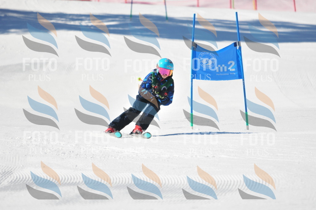 C3746 | holidayphoto