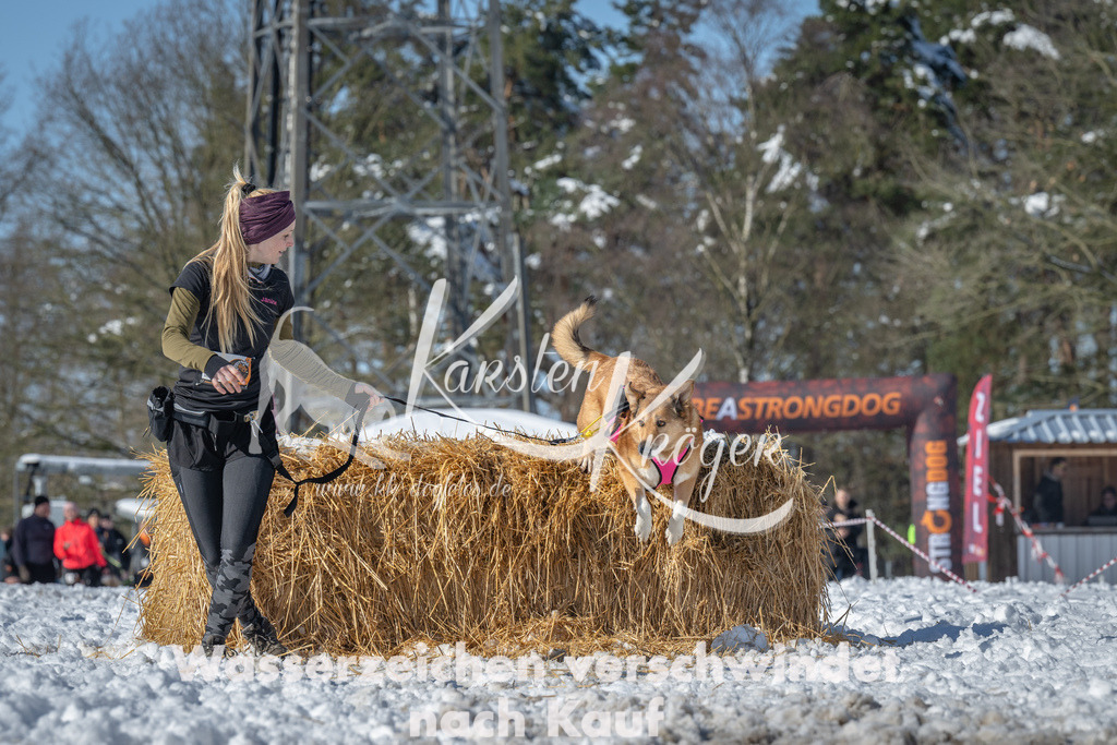1140_ZZ90594-4 | kk-dogfotos
