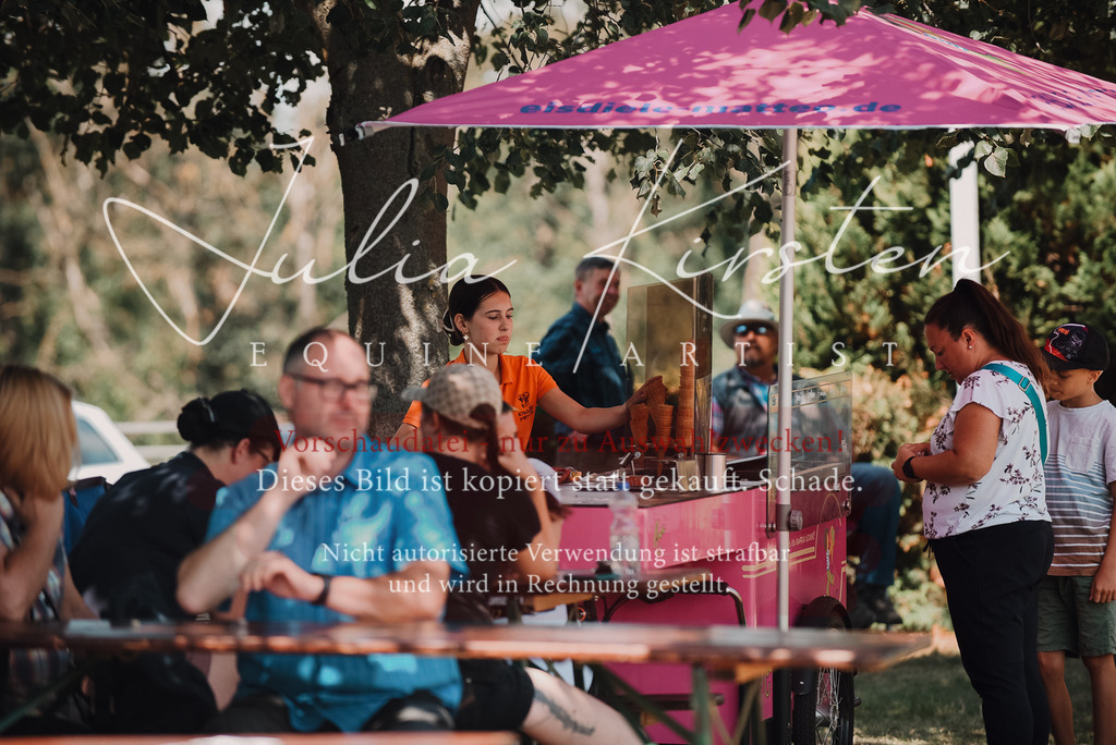 DSC_8873 | Pferde- und Turnierfotografie in Westsachsen. Pferdeportraits, Auftragszeichnungen und intuitive Kunst.