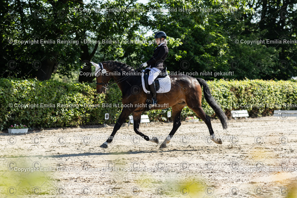 CL5A7011 | Emilia Reinking Fotografie - Realisiert mit Pictrs.com