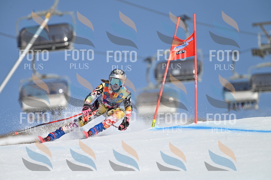 BGV_7827 | holidayphoto