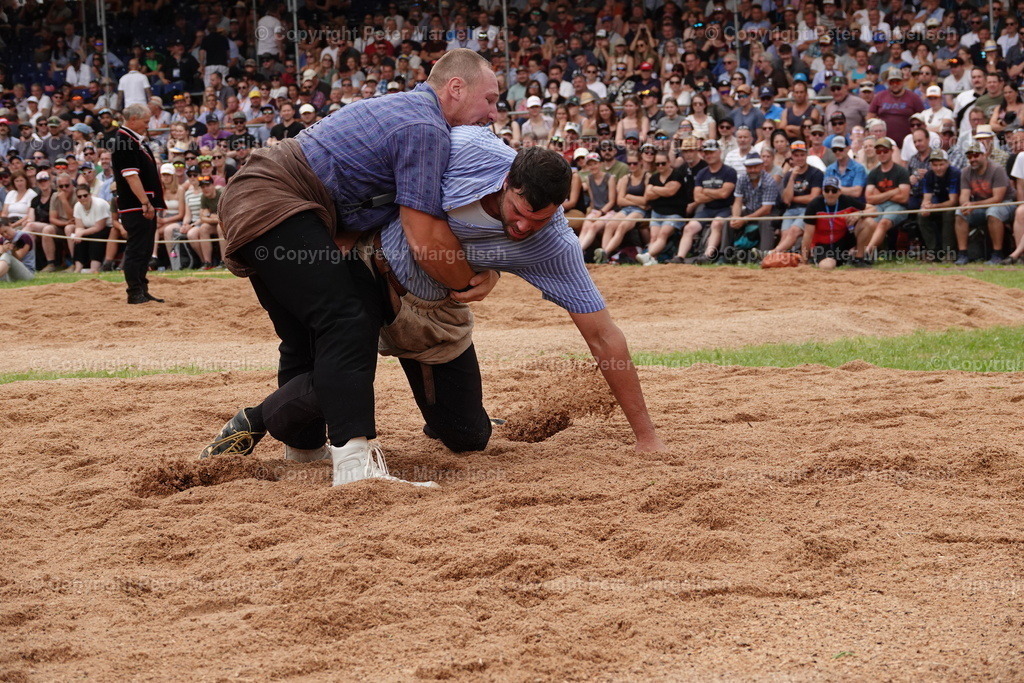 DSC01252 | Schwingen - Realisiert mit Pictrs.com