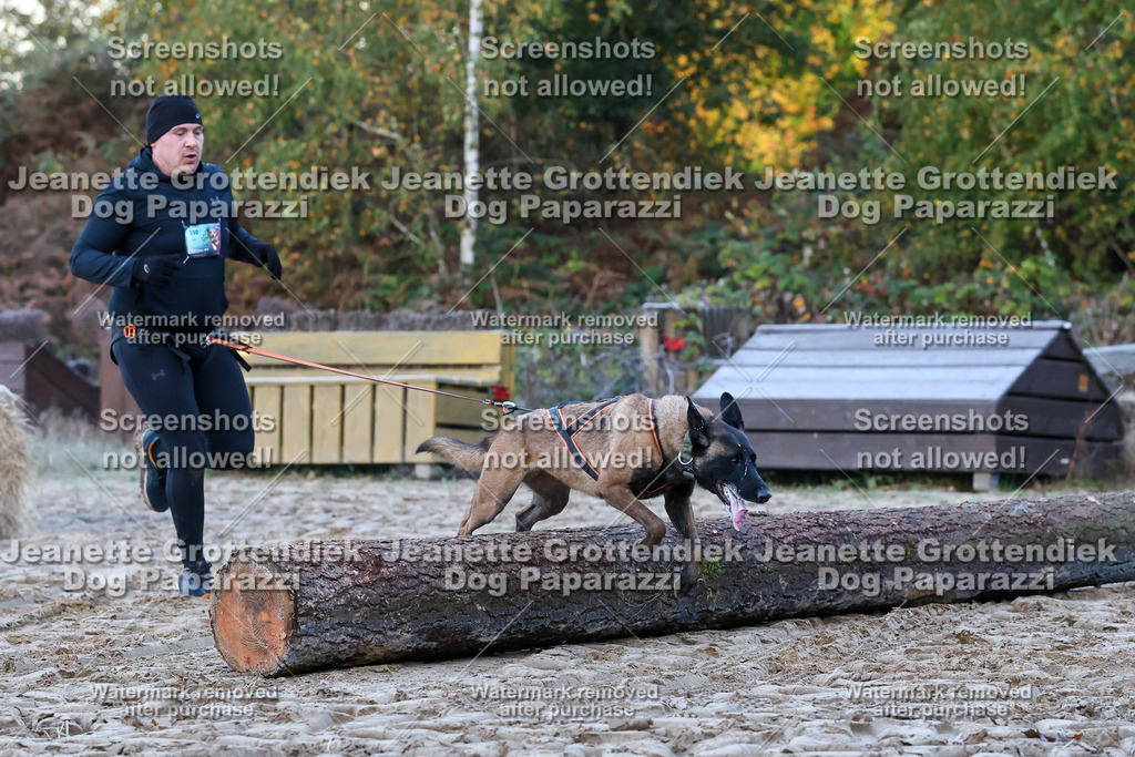 Dog Paparazzi - Strongdog 10-25-114 | Dog Paparazzi Jeanette Grottendiek Fotografie & Videografie - Realisiert mit Pictrs.com