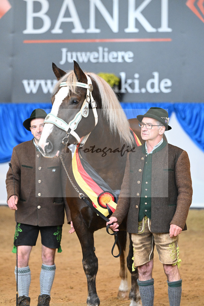 Kat-Nr. 43 Oxana_Steinle_53222925 | hf-fotografie - Realisiert mit Pictrs.com