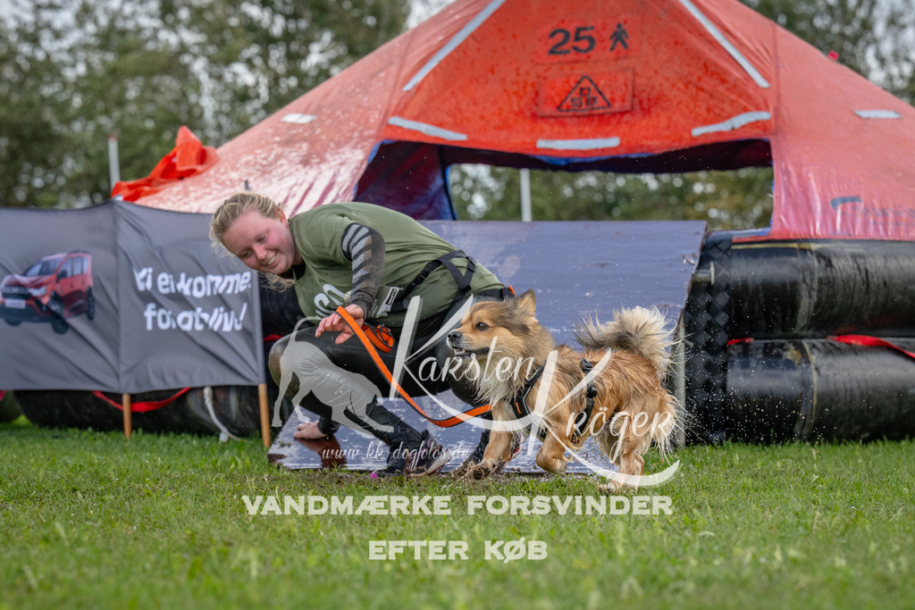 1223-93653 | kk-dogfotos