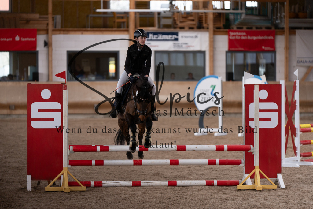 A7507539 | Pferdefotograf