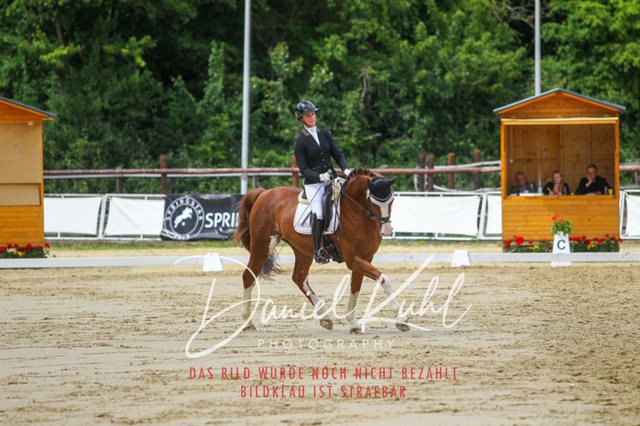 DKP46295 | Turniersportfotografie; Pferdefotografie; Dressurfotografie