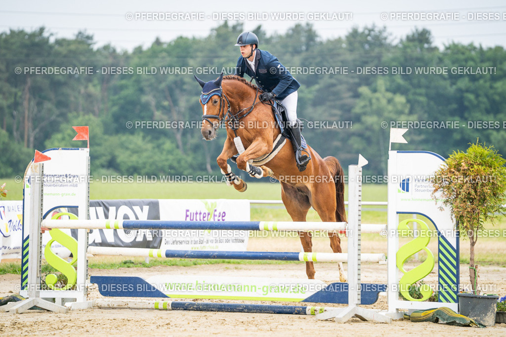 DSC09924 | Pferdegrafie