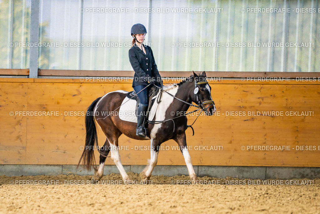 DSC03565 | Pferdegrafie