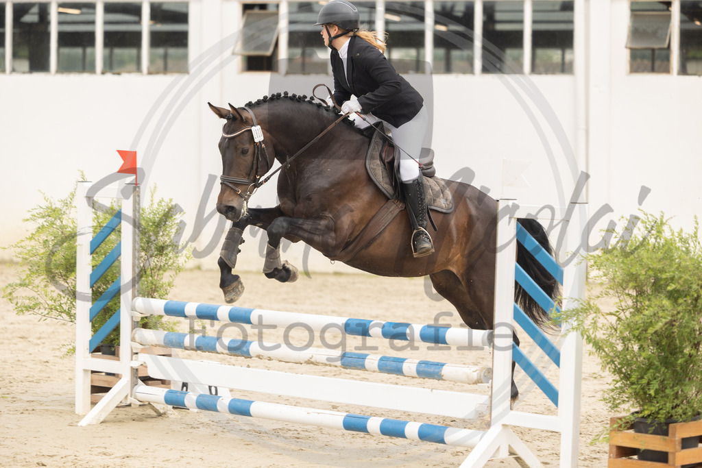 994A9223 | sabrinanicolaifotografie - Realisiert mit Pictrs.com