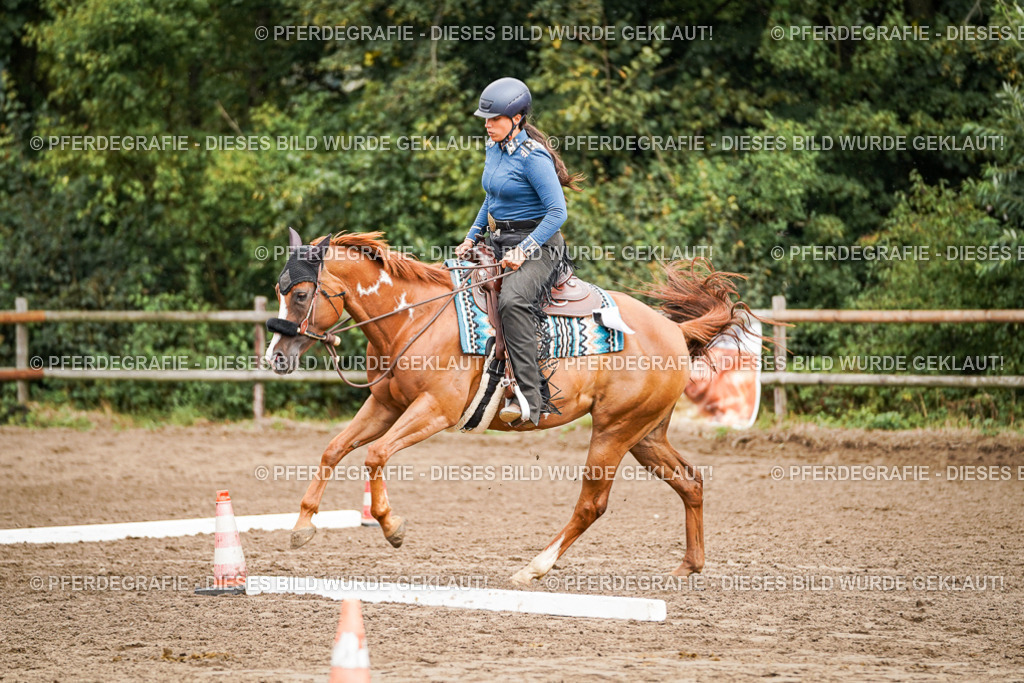 DSC04420 | Pferdegrafie