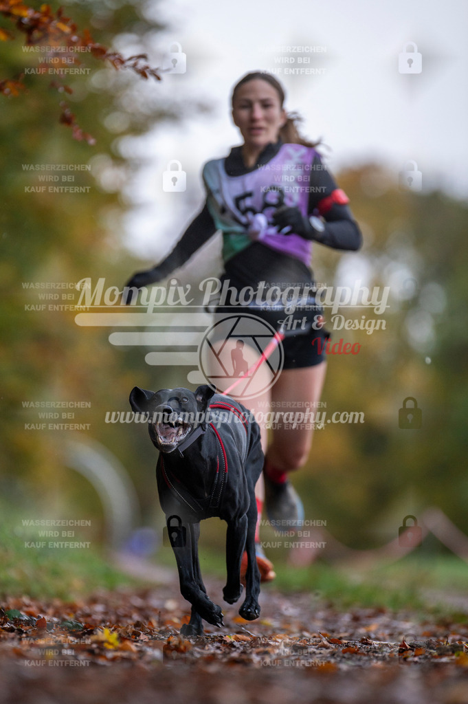DBT_DAKM_SA_4_11_2023_Canicross-9 | PayLife