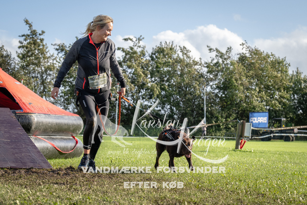 1437-94634 | kk-dogfotos