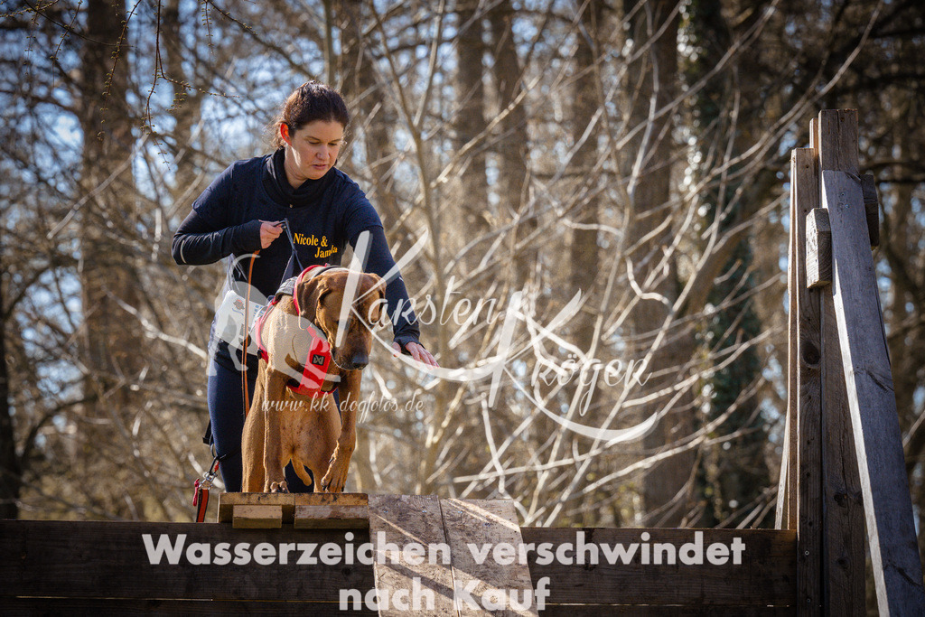 0921_ZZ95090 | kk-dogfotos