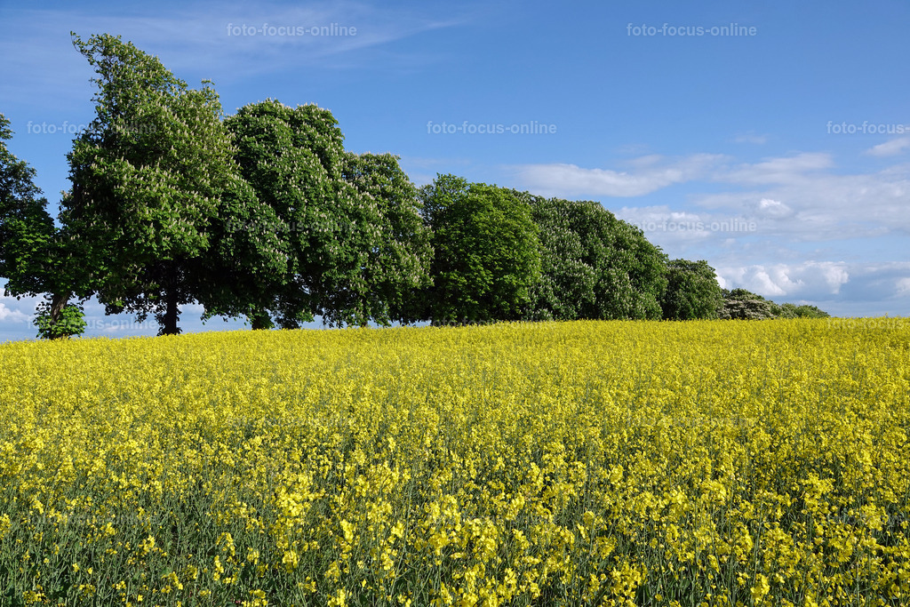 rapps-heute_4 | foto-focus-online