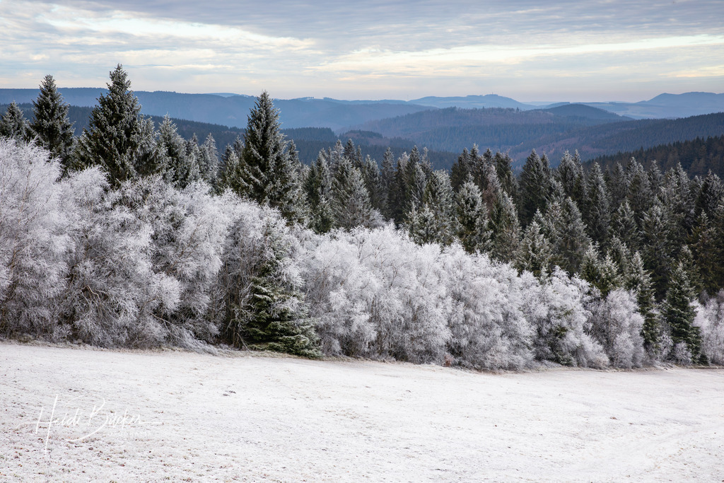 Mit Raureif überzogener Baum auf dem Kahlen Asten | Mit Raureif überzogene Bäume am Nordhang des Kahlen Asten bei Winterberg - Realisiert mit Pictrs.com
