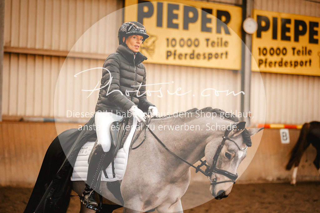 3I6A1228 | Stimmungsvolle Portraits und Reitsportfotografie im Ruhrgebiet und im Münsterland.

Pferdefotografie, Hundefotografie, Tierfotografie, Reportagen, Portraits von Tier und Mensch, Turnierfotografie in Bochum, Recklinghausen, Marl, Haltern am See, Dülmen.. - Realisiert mit Pictrs.com