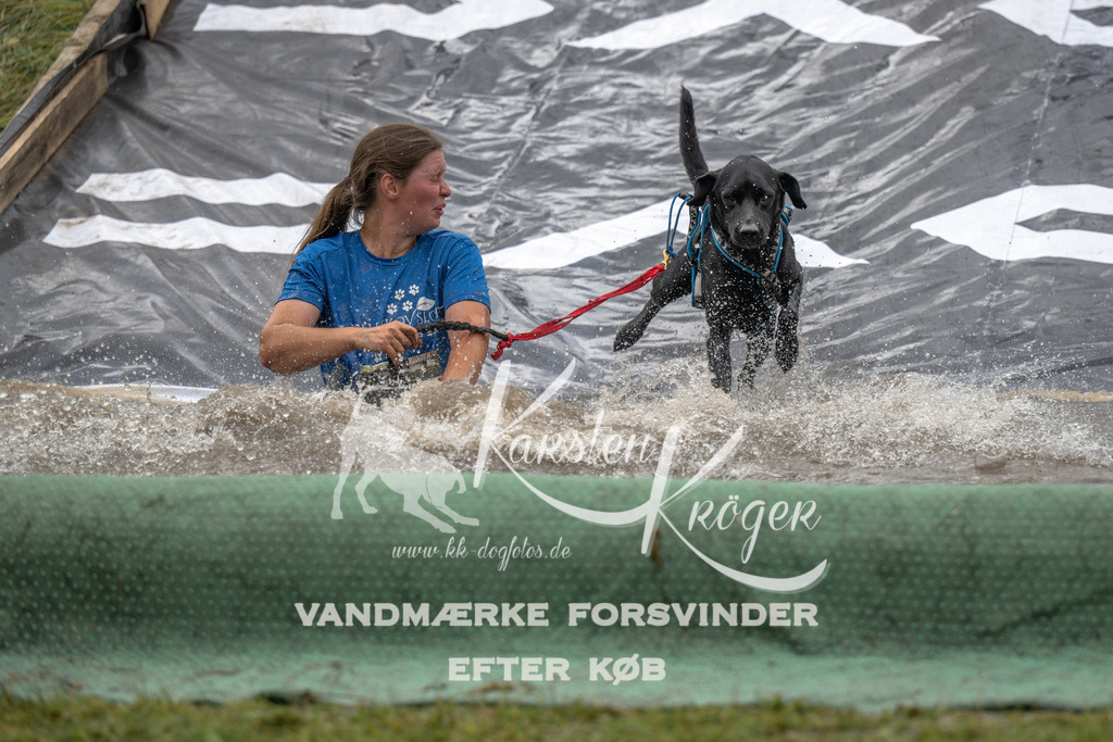 1528_ZZ93642 | kk-dogfotos