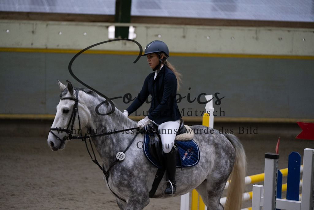 A7V00809 | Pferdefotograf