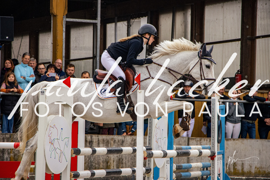 IMG_4072 | Erleben Sie dynamische Sport- und emotionale Tierfotografie in Süddeutschland mit Fotos von Paula. Spezialisiert auf Pferde- und Hundefotografie sowie Sportevents. Kontaktieren Sie mich für einzigartige und ausdrucksstarke Bilder Ihrer besonderen Momente. - Realisiert mit Pictrs.com