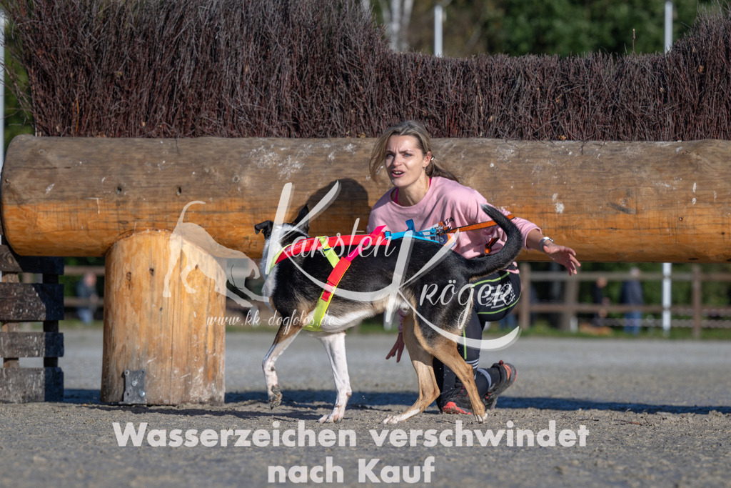1046-_ZZ92585 | kk-dogfotos