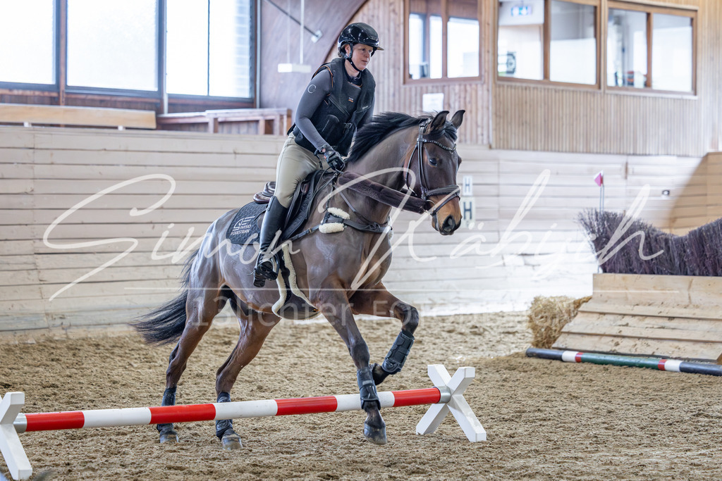 20260221-_3LI0354 | Tierfotografie Pferde, Hunde, Katzen, Haustiere.
Turnierfotografie Reitturniere, Reiten, Springreiten, Dressur in Hanau, dem Main-Kinzig-Kreis und dem Rhein-Main- Gebiet um Frankfurt