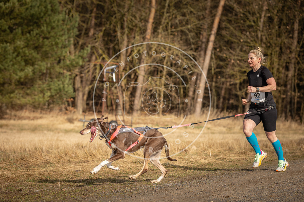 DV3A3749 | Hundefotografie, Tierfotograf, Pfotenfotografie, Fotoshooting Hund, Hunde Portrait, Hundesport, Hundeportraits, Heideshooting, Hunde, Sportfotograf, Hundefotograf, Turnierhundsport, THS,  - Realisiert mit Pictrs.com