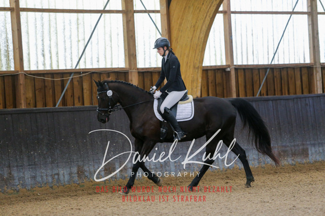 IMG_0129 | Turniersportfotografie; Pferdefotografie; Dressurfotografie