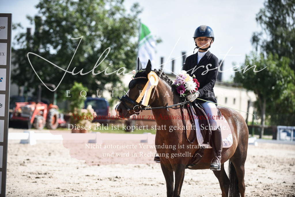 DSC_8756 | Pferde- und Turnierfotografie in Westsachsen. Pferdeportraits, Auftragszeichnungen und intuitive Kunst.