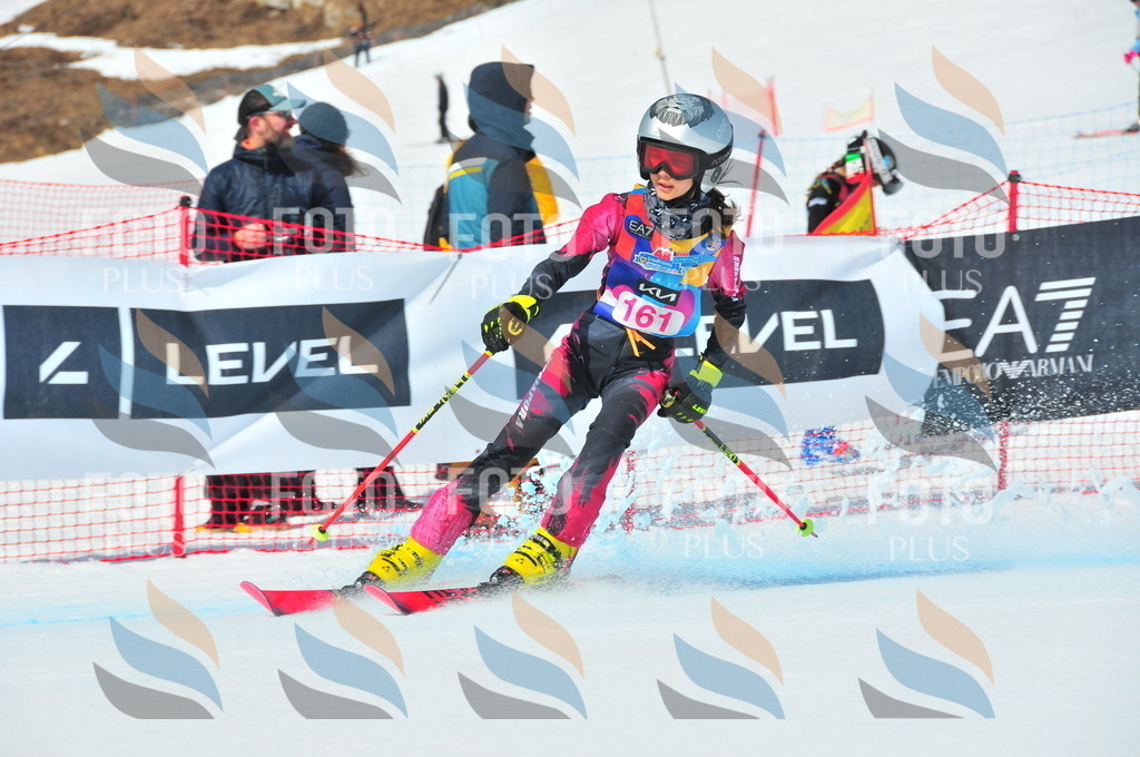 DSC_5173 | holidayphoto