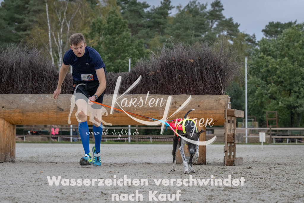 1135-94347 | kk-dogfotos