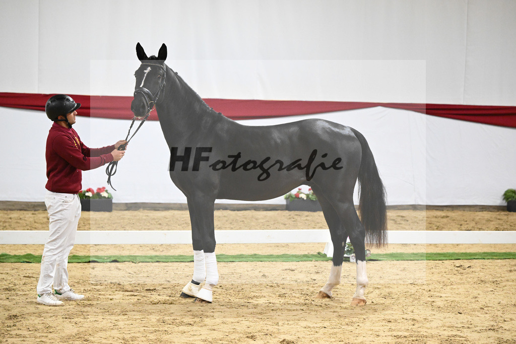 Kat-Nr. 70 v. DSP Bohemian_Kircher-Eckardt_63222008 | hf-fotografie - Realizzato con Pictrs.com