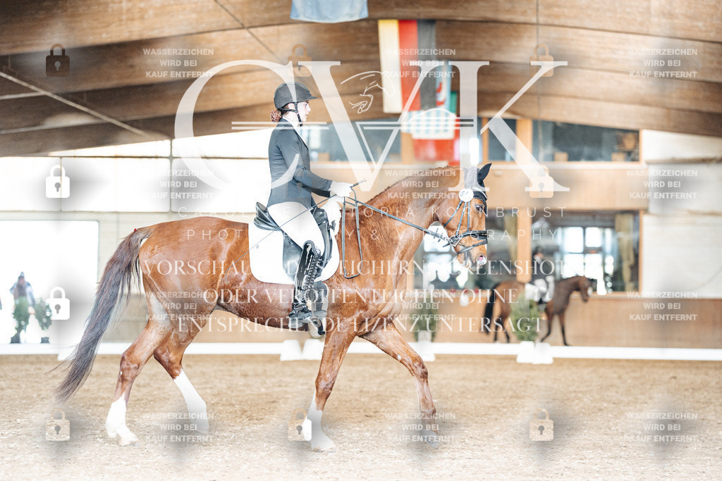 CK901714 | Turnierfotografie Pferdefotografie Trier Rheinland-Pfalz Pferdesport Reitsport Tierfotografie Sportfotografie Pferdevideo Pferdevideografie Equestrianvideography equestrianphotography  - Realisiert mit Pictrs.com