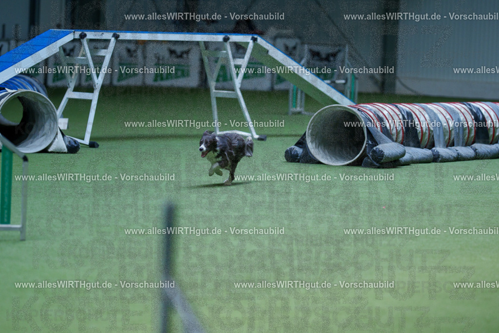 @allesWIRTHgut_Tierfotografie - www.allesWIRTHgut.de - 2604251241-7R502533 | Professionelle Tierfotografie in Mönchengladbach von Daniel Wirth (allesWIRTHgut). Liebevolle & natürliche Bilder von Hunden & Katzen für unvergessliche Erinnerungen.