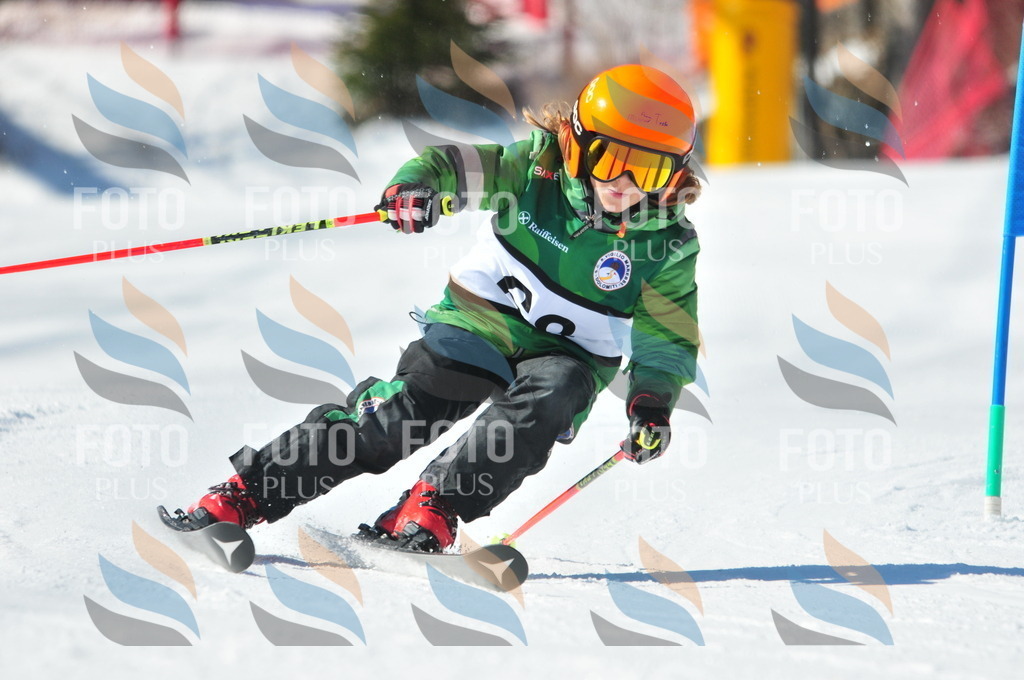 C3001 | holidayphoto