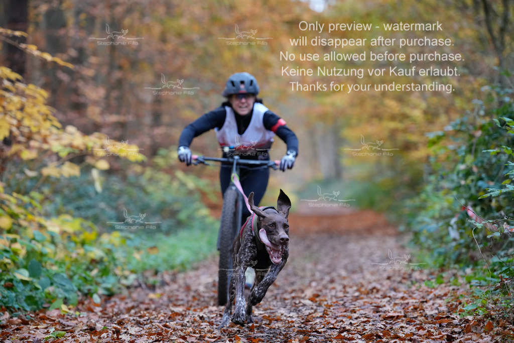 Scooter_So-7 | stephaniefillaphotographie - Realisiert mit Pictrs.com