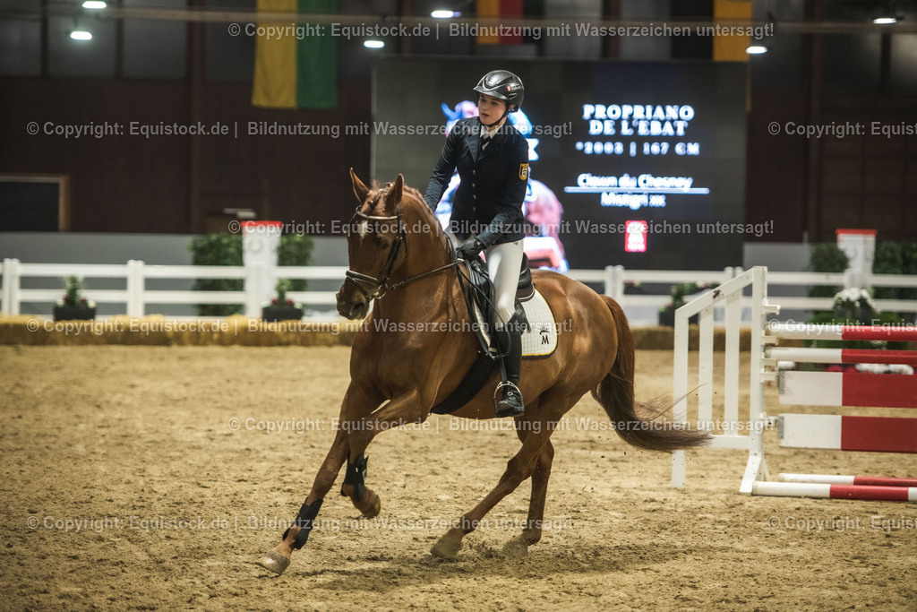 20240302_Hengstvorstellung_Marbach_TOMsPiC_1364 | equistock