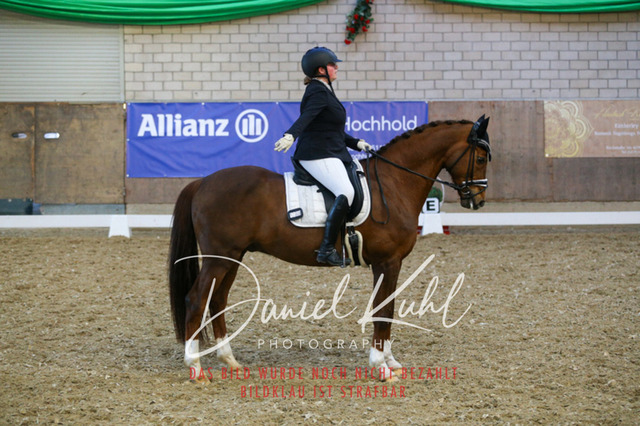 IMG_2955 | Turnierfotos kaufen im Webshop von Daniel Kuhl Photography – entdecke professionelle Reitsportfotos aus Turnieren & Events. Hochwertige Turnierbilder online bestellen & sichern. Jetzt Fotos von Reitsportturnieren kaufen!