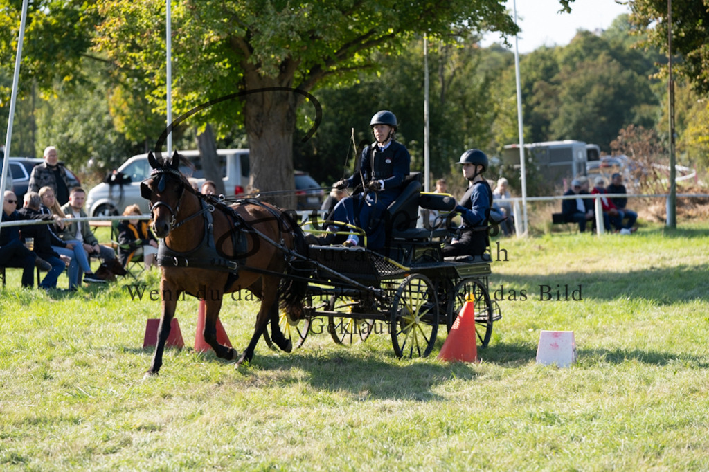 A7V04406 | Pferdefotograf