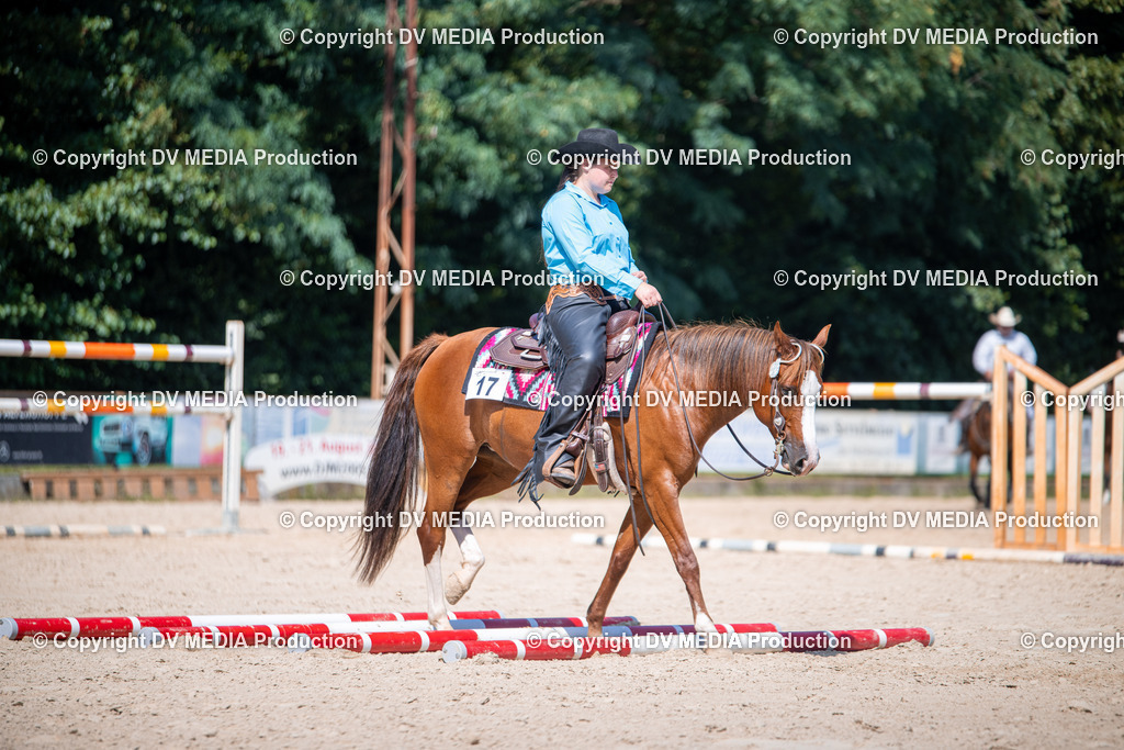 ZS1_1606 | dv-media-shop - Realisiert mit Pictrs.com