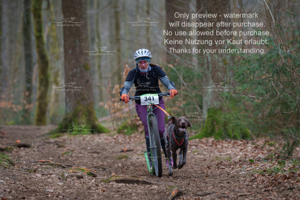 Scooter_So-64 | stephaniefillaphotographie - Realisiert mit Pictrs.com