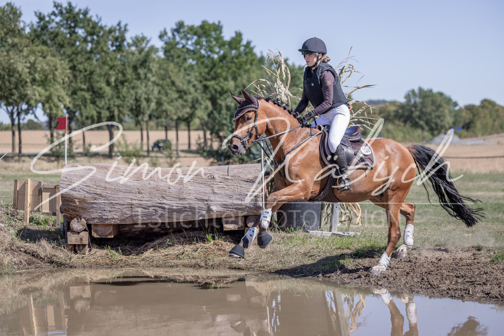 20260906-_3LI4290 | Tierfotografie Pferde, Hunde, Katzen, Haustiere.
Turnierfotografie Reitturniere, Reiten, Springreiten, Dressur in Hanau, dem Main-Kinzig-Kreis und dem Rhein-Main- Gebiet um Frankfurt
